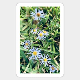 Weed flower Sticker